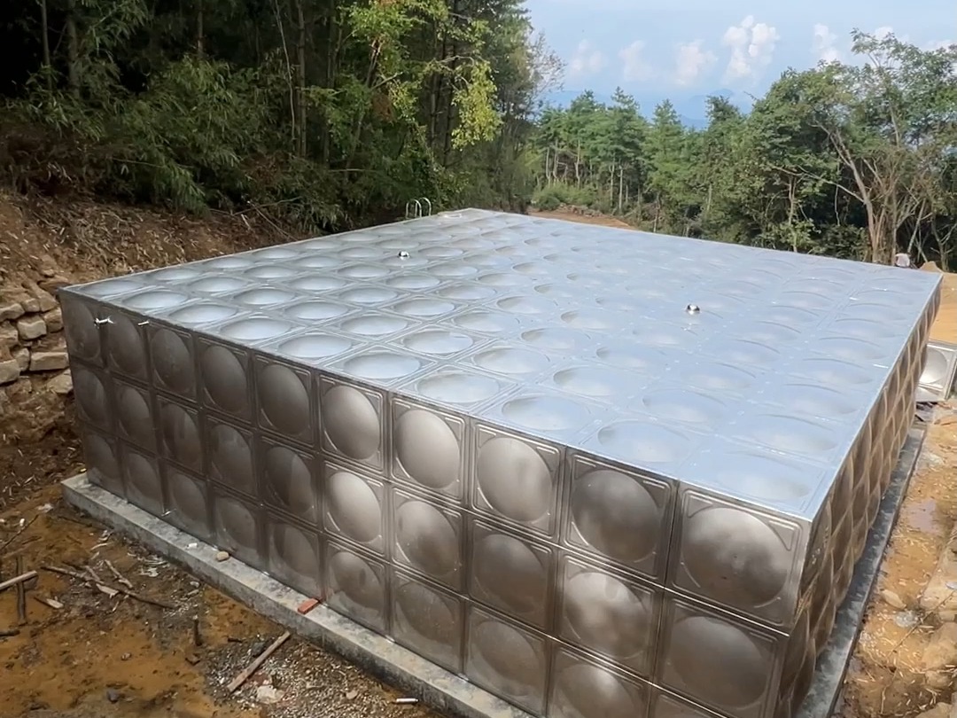 哈兹卡尔：东莞治水工程建设进展时时看